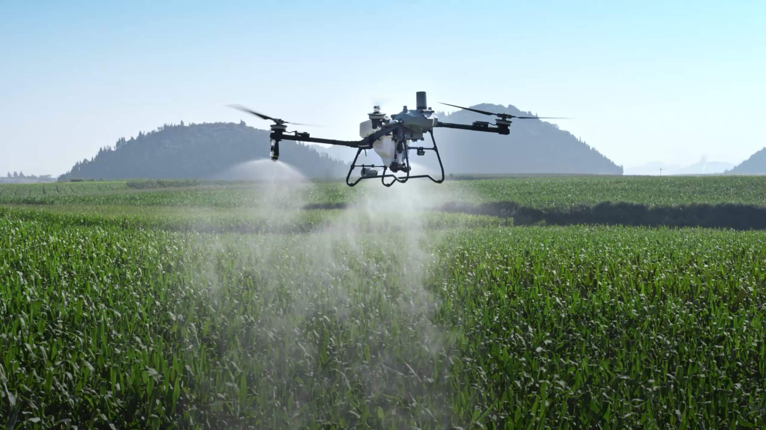 Operaciones de campo